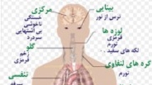 مونونوکلئوز عفونی یا بیماری بوسه